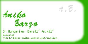 aniko barzo business card